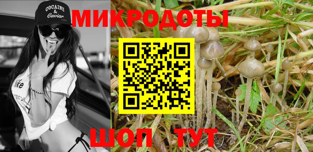 Галлюциногенные грибы Psilocybe  где купить наркоту  Орёл  Вход с VPN 